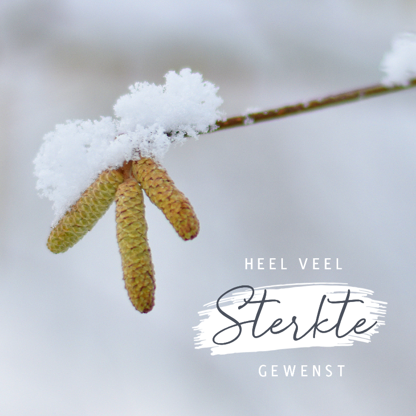 Condoleancekaarten - Condoleance sterkte kaart met foto van bloeiende hazelaar