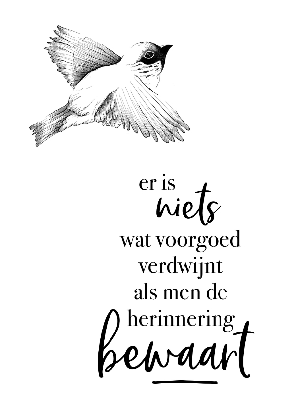 Condoleancekaarten - Condoleance  - vogel er is niets wat voorgoed verdwijnt