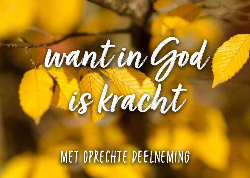 Condoleancekaarten - Condoleance - want in God is kracht