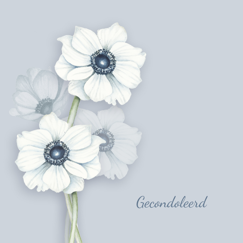 Condoleancekaarten - Condoleance witte anemonen