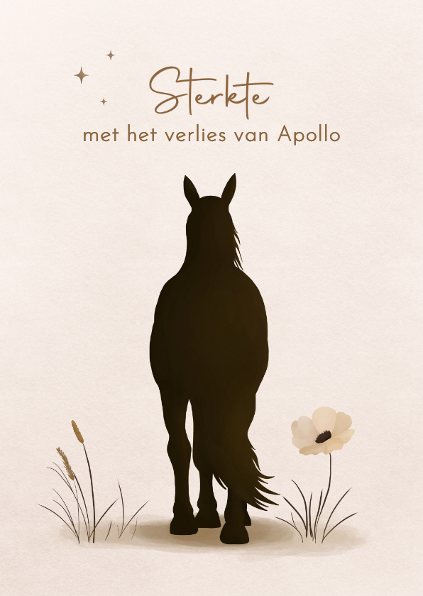 Condoleancekaarten - Condoleancekaart bij het verlies pony of paard