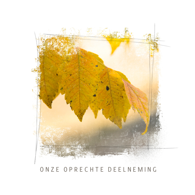 Condoleancekaarten - Condoleancekaart blad herfst geel