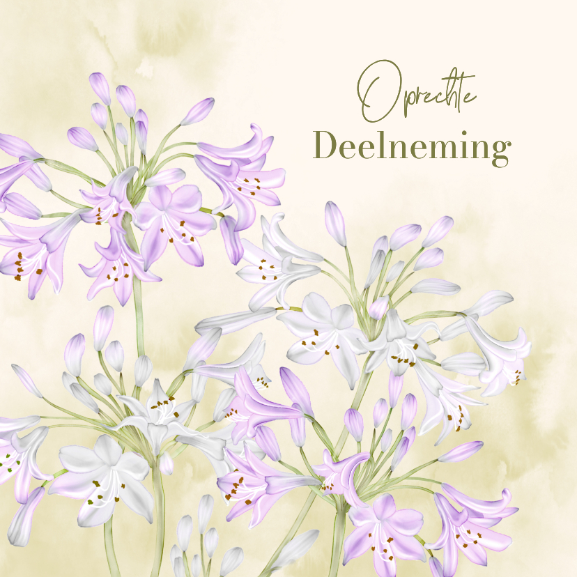 Condoleancekaarten - Condoleancekaart bloem agapanthus