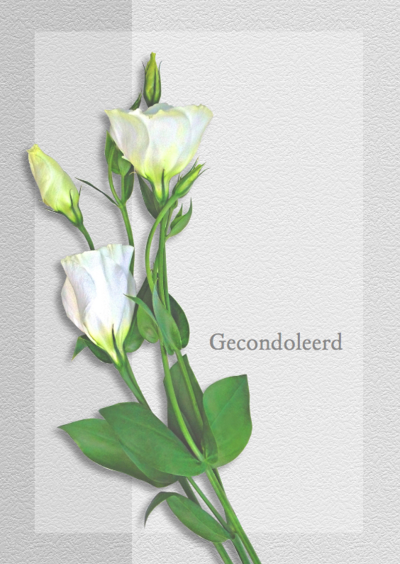 Condoleancekaart bloemen op grijze vlakjes - Condoleancekaarten Condoleancekaarten - Condoleancekaart bloemen op grijze vlakjes