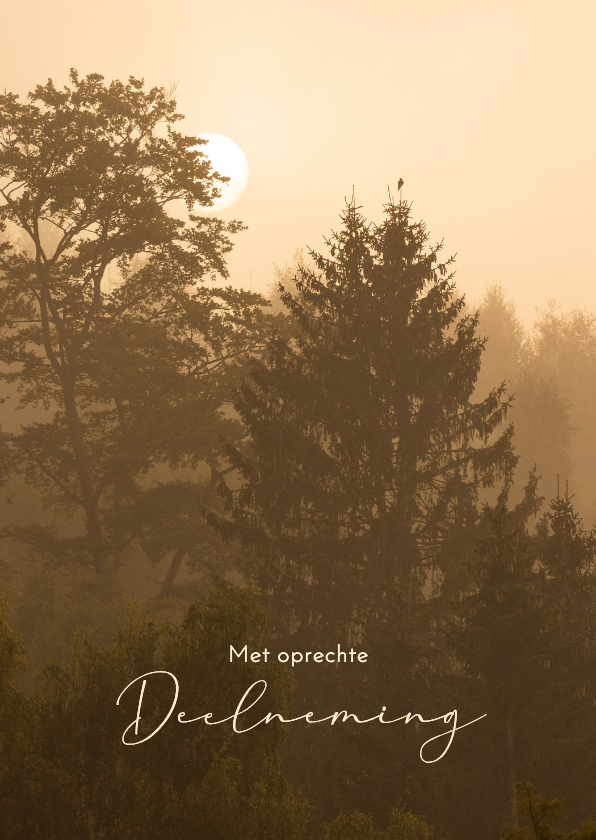 Condoleancekaart bos met zonsopkomst - Condoleancekaarten Condoleancekaarten - Condoleancekaart bos met zonsopkomst