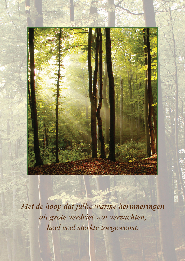 Condoleancekaart Bos - Condoleancekaarten Condoleancekaarten - Condoleancekaart Bos