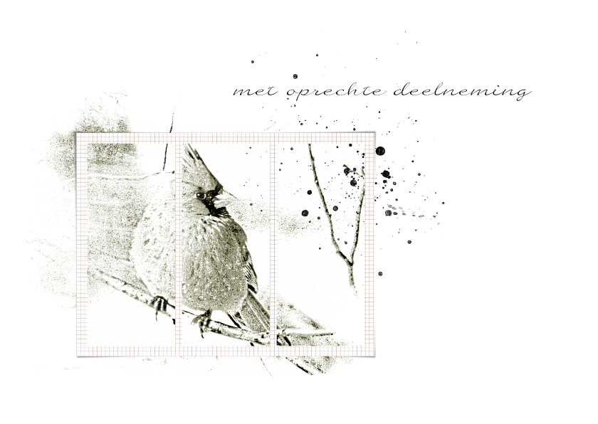 Condoleancekaart Condoleance Vogel - Condoleancekaarten Condoleancekaarten - Condoleancekaart Condoleance Vogel