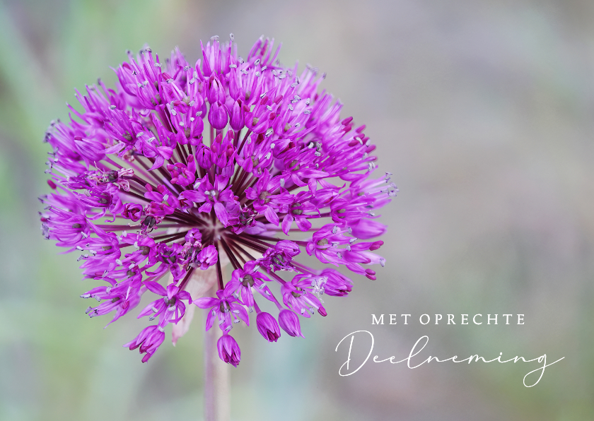 Condoleancekaarten - Condoleancekaart foto sierui met oprechte deelneming