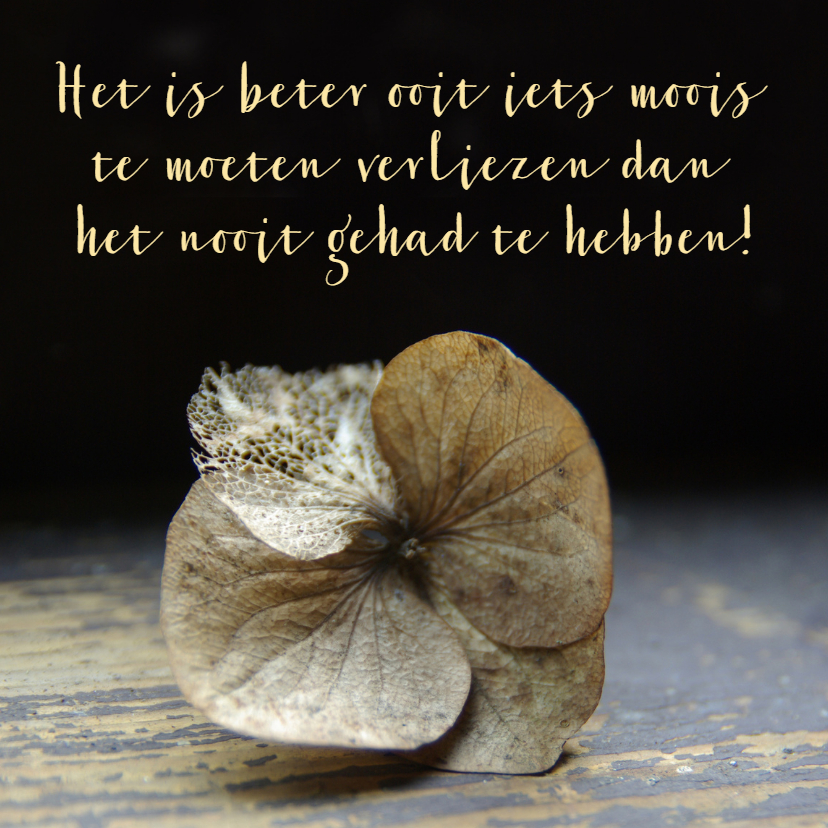 Condoleancekaart, gedroogde bloem verlieskaart - Condoleancekaarten Condoleancekaarten - Condoleancekaart, gedroogde bloem verlieskaart