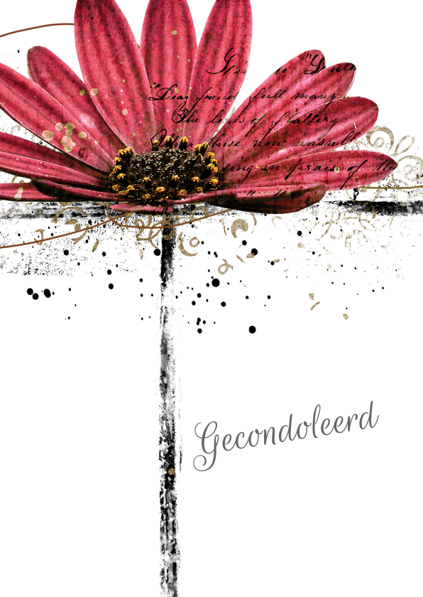 Condoleancekaarten - Condoleancekaart gerbera flower