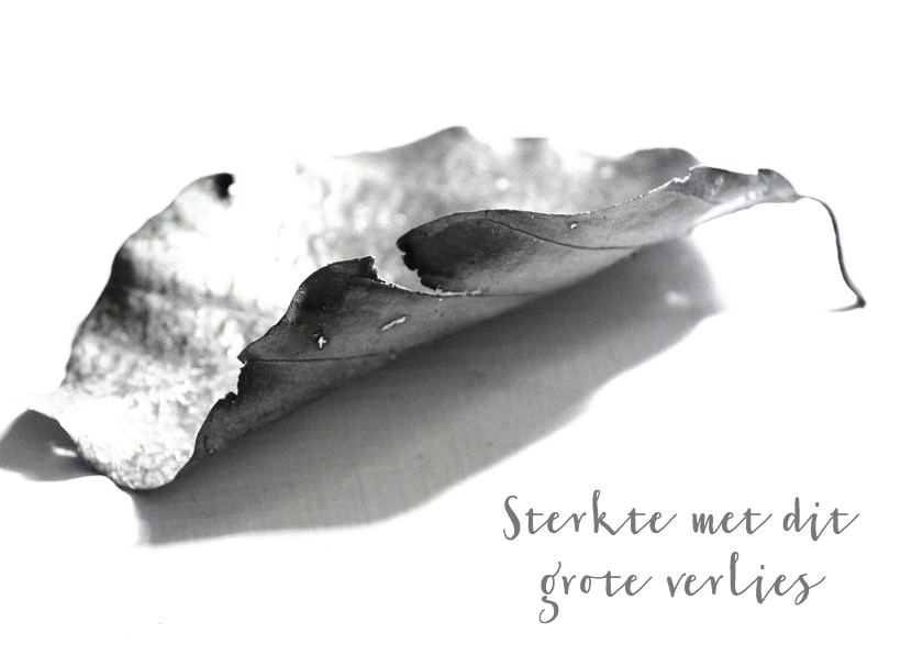 Condoleancekaart Gevallen Blad Sterkte - Condoleancekaarten Condoleancekaarten - Condoleancekaart Gevallen Blad Sterkte