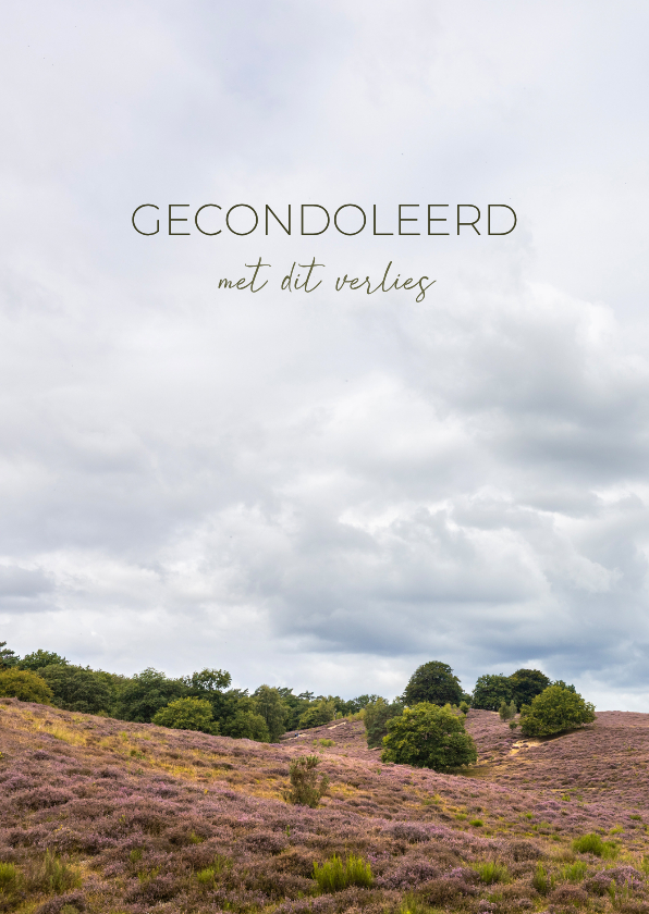 Condoleancekaart glooiend heidelandschap - Condoleancekaarten Condoleancekaarten - Condoleancekaart glooiend heidelandschap