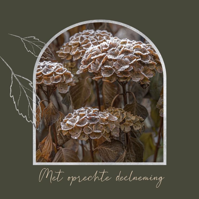 Condoleancekaart met berijpte hortensia's - Condoleancekaarten Condoleancekaarten - Condoleancekaart met berijpte hortensia's