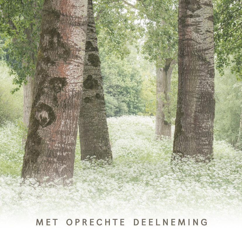 Condoleancekaarten - Condoleancekaart met bomen