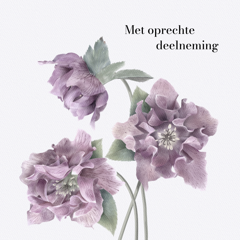 Condoleancekaarten - Condoleancekaart met kerstrozen