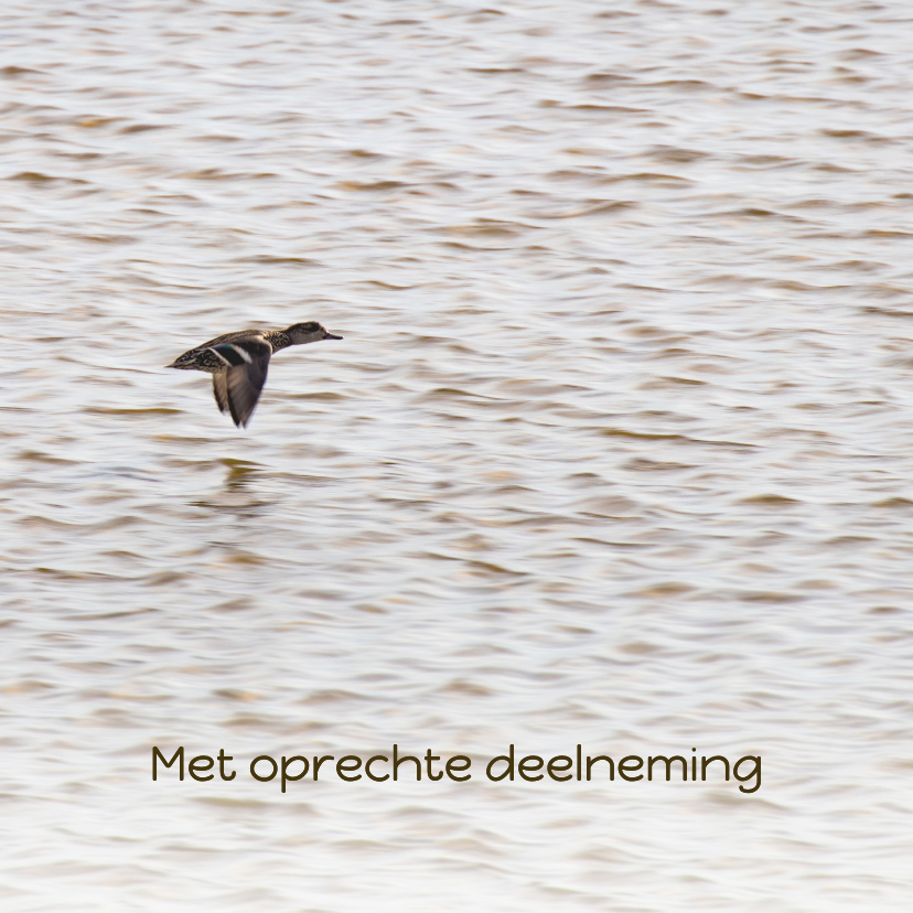 Condoleancekaart met vliegende eend op zee - Condoleancekaarten Condoleancekaarten - Condoleancekaart met vliegende eend op zee