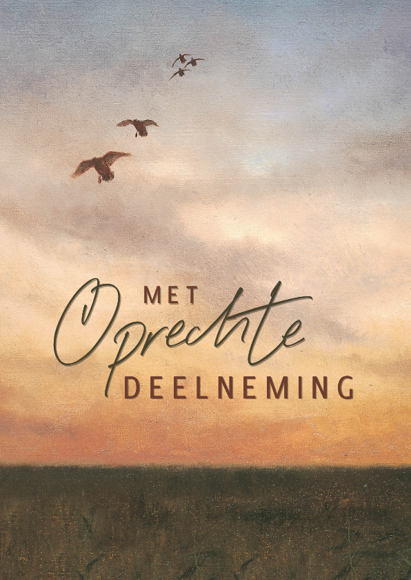 Condoleancekaarten - Condoleancekaart met vliegende eenden in de avondzon
