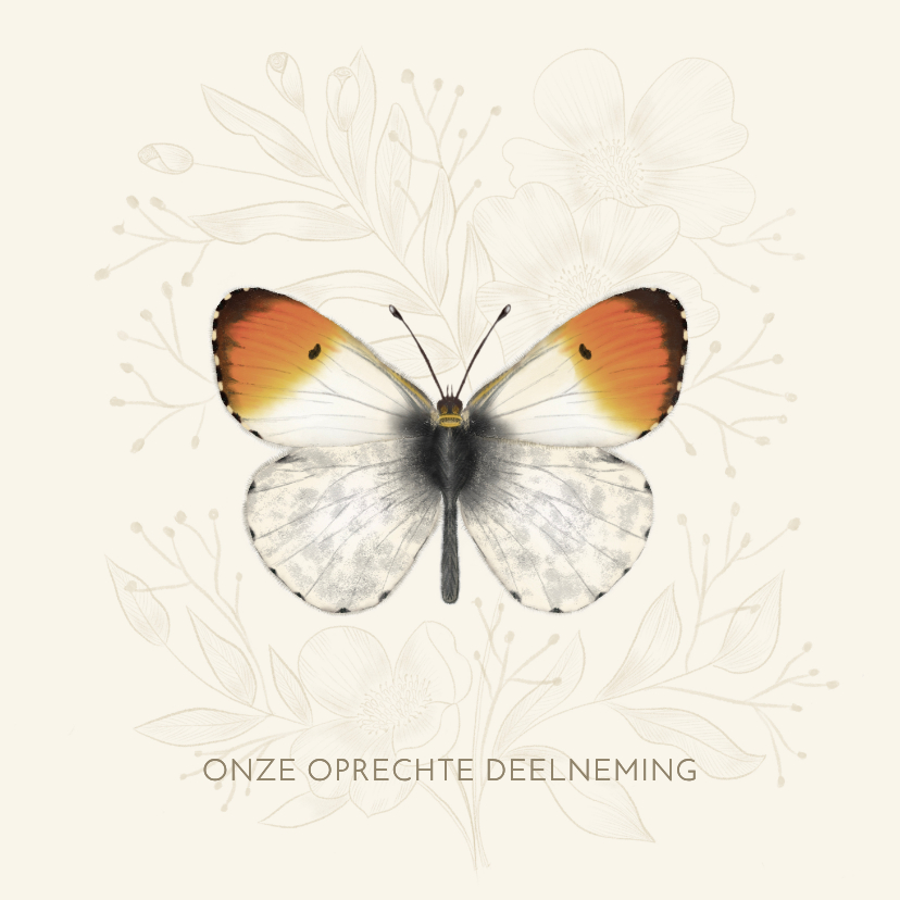 Condoleancekaart oranjetipje vlinder - Condoleancekaarten Condoleancekaarten - Condoleancekaart oranjetipje vlinder