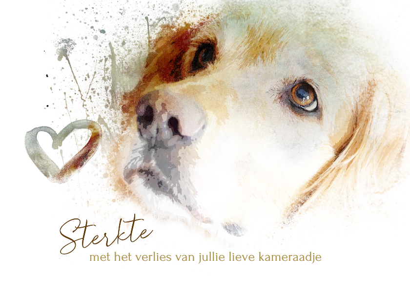 Condoleancekaart pastel golden retriever - Condoleancekaarten Condoleancekaarten - Condoleancekaart pastel golden retriever
