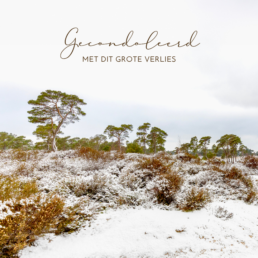 Condoleancekaarten - Condoleancekaart sneeuwlandschap heide
