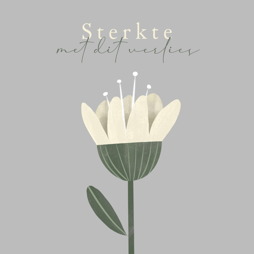 Condoleancekaart sobere witte bloem sterkte - Condoleancekaarten Condoleancekaarten - Condoleancekaart sobere witte bloem sterkte