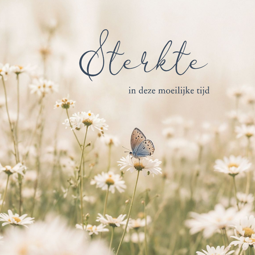 Condoleancekaarten - Condoleancekaart sterkte met bloemetjes en vlinder natuur