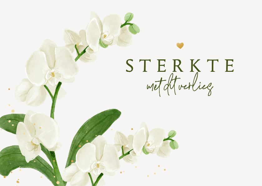 Condoleancekaarten - Condoleancekaart sterkte orchidee bloem wit groen
