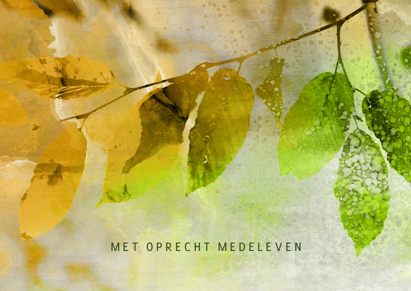 Condoleancekaarten - Condoleancekaart van groen naar herfst