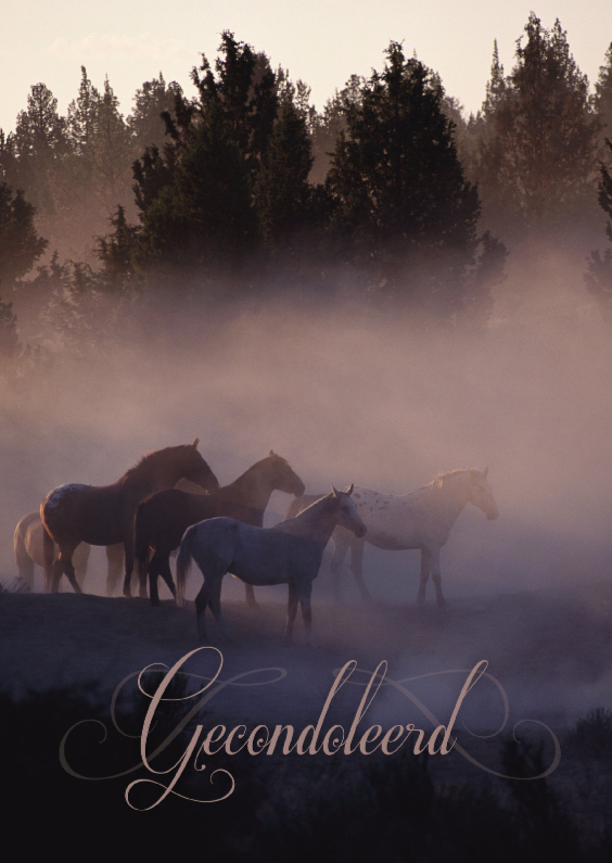 Condoleancekaarten - Condoleancekaart van paarden in de mist