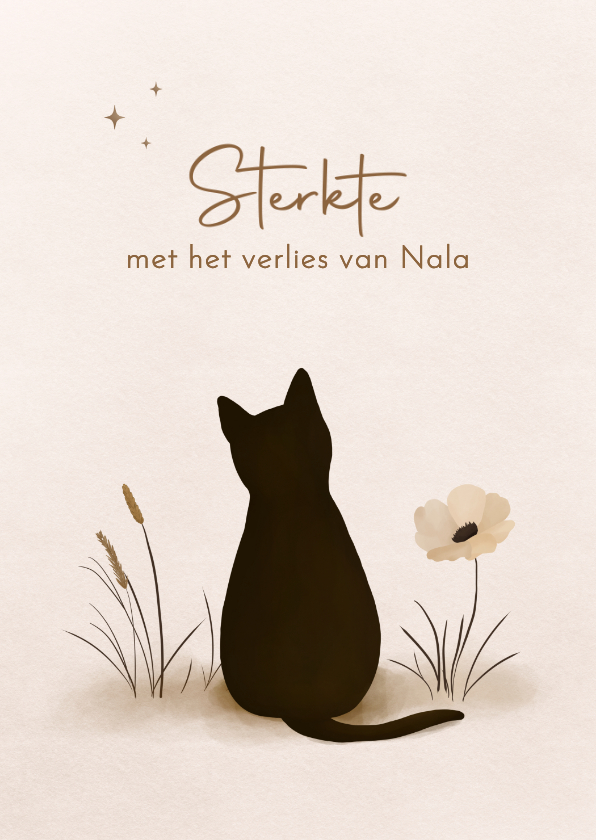 Condoleancekaarten - Condoleancekaart verlies kat met mooie bloemen en sterren