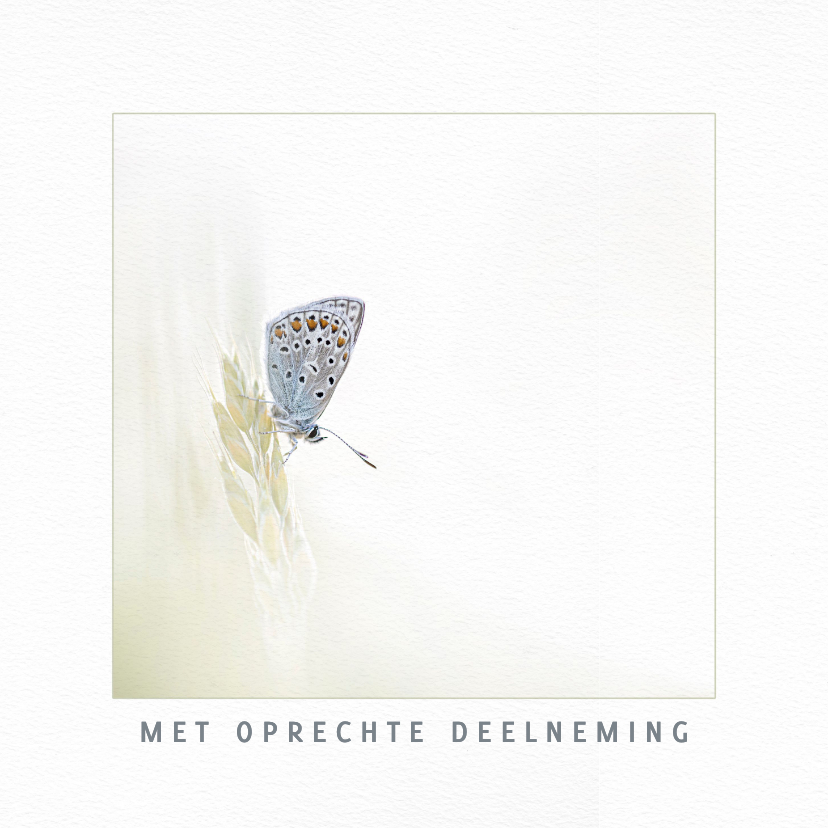 Condoleancekaart vlinder op grashalm - Condoleancekaarten Condoleancekaarten - Condoleancekaart vlinder op grashalm