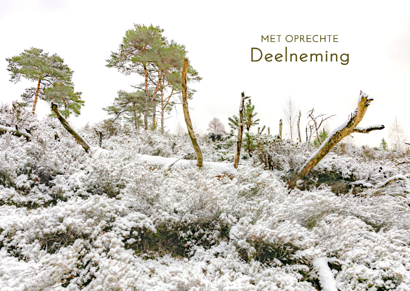 Condoleancekaarten - Condoleancekaart winterlandschap