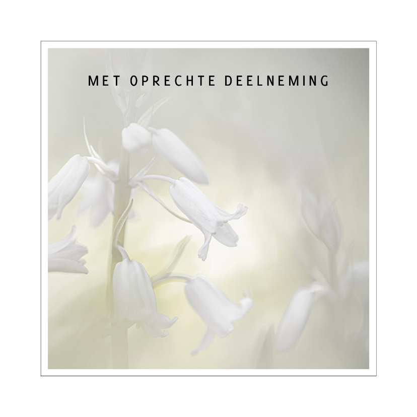 Condoleancekaart witte boshyacinten - Condoleancekaarten Condoleancekaarten - Condoleancekaart witte boshyacinten