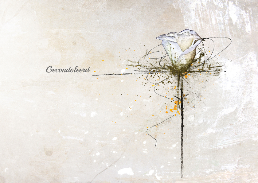 Condoleancekaart Witte Roos Deelneming - Condoleancekaarten Condoleancekaarten - Condoleancekaart Witte Roos Deelneming