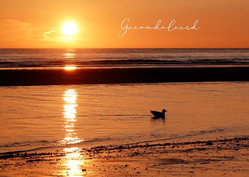 Condoleancekaart zonsondergang Noordzee meeuw gecondoleerd - Condoleancekaarten Condoleancekaarten - Condoleancekaart zonsondergang Noordzee meeuw gecondoleerd