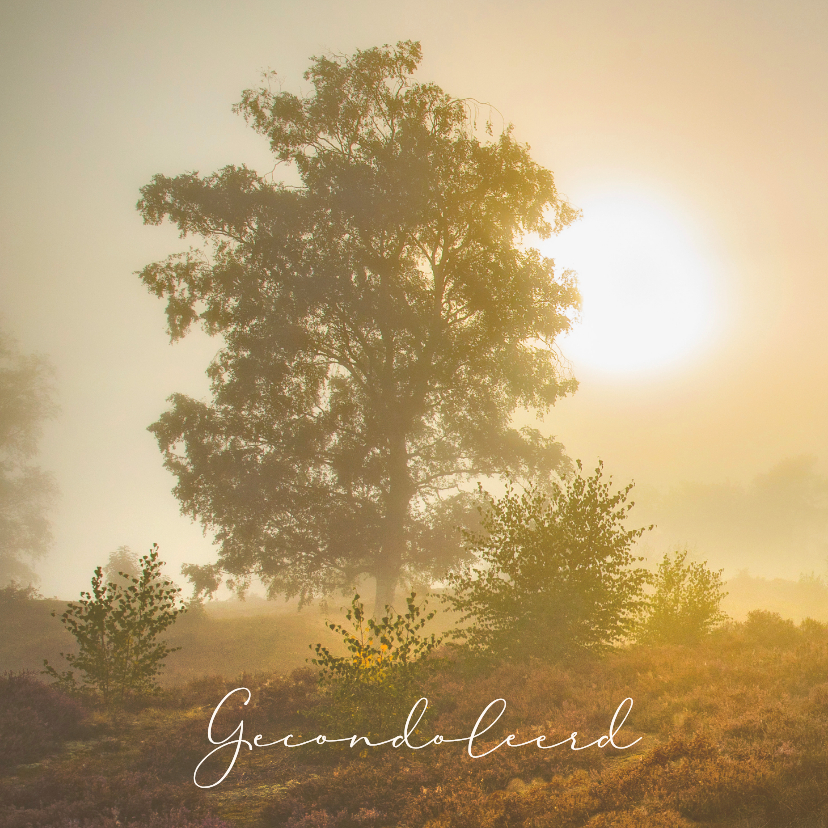 Condoleancekaart zonsopkomst heide - Condoleancekaarten Condoleancekaarten - Condoleancekaart zonsopkomst heide