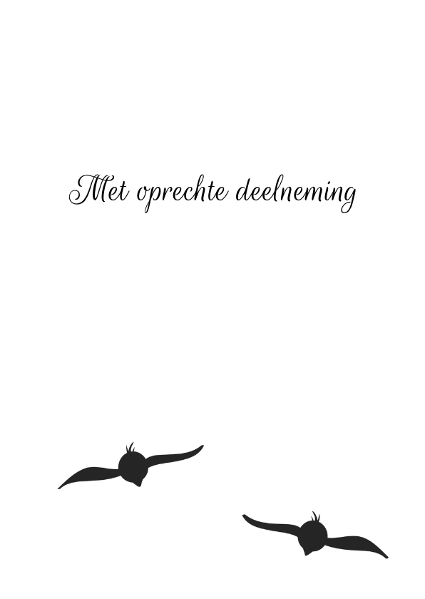 De laatste vlucht - Condoleancekaarten Condoleancekaarten - De laatste vlucht
