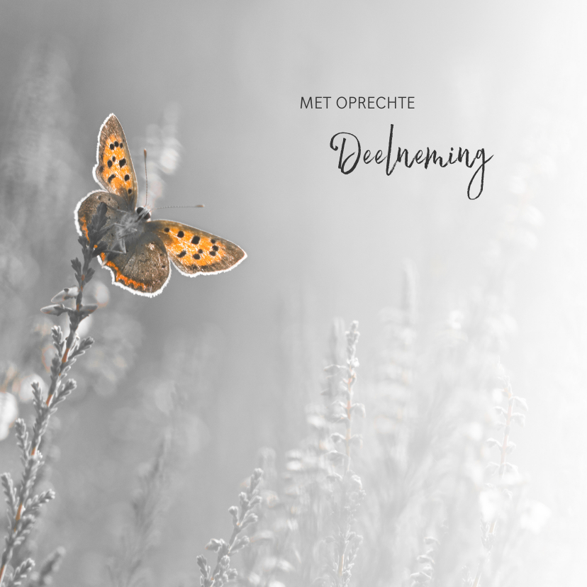 Condoleancekaarten - Deelneming met vlinder