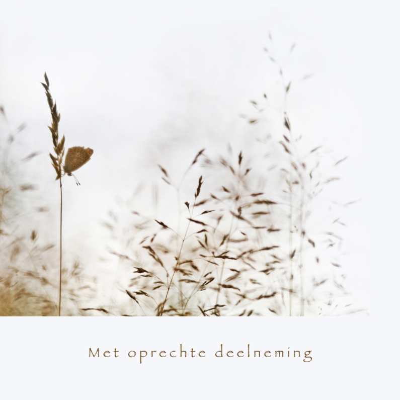 Deelneming - vlinder met grassen - Condoleancekaarten Condoleancekaarten - Deelneming - vlinder met grassen