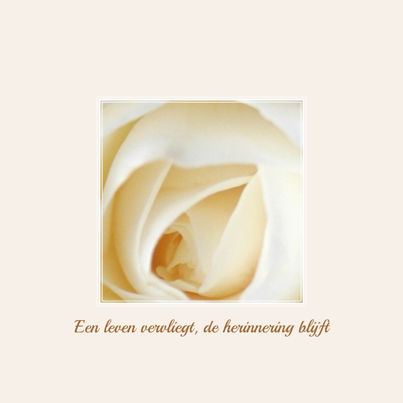 een leven vervliegt - witte roos - Condoleancekaarten Condoleancekaarten - een leven vervliegt - witte roos