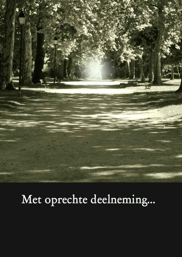 Fotokaart bos perspectief - Condoleancekaarten Condoleancekaarten - Fotokaart bos perspectief