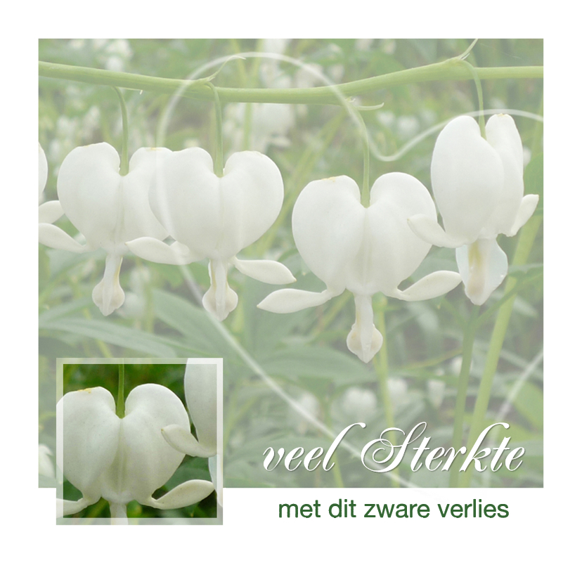Gebroken Harten Bloemen - Condoleancekaarten Condoleancekaarten - Gebroken Harten Bloemen