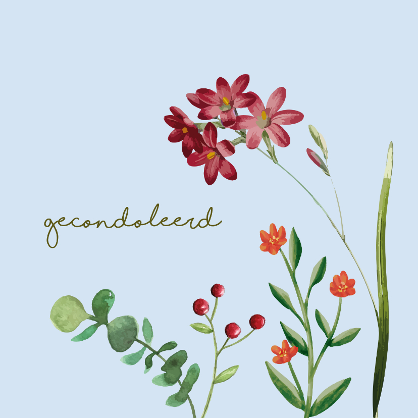 Condoleancekaarten - Gecondoleerd - bloem - condoleancekaart