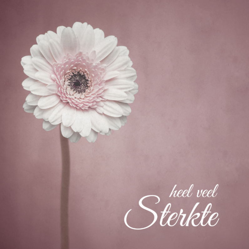Heel veel Sterkte - Bloem - Condoleancekaarten Condoleancekaarten - Heel veel Sterkte - Bloem
