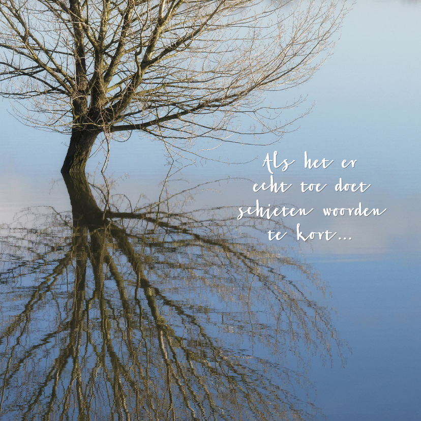 In water gespiegelde boom 2 - OT - Condoleancekaarten Condoleancekaarten - In water gespiegelde boom 2 - OT