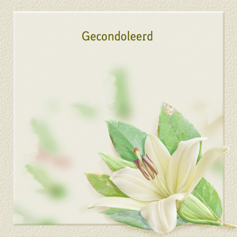 Klassieke condoleancekaart met lelie op gewassen achtergrond - Condoleancekaarten Condoleancekaarten - Klassieke condoleancekaart met lelie op gewassen achtergrond