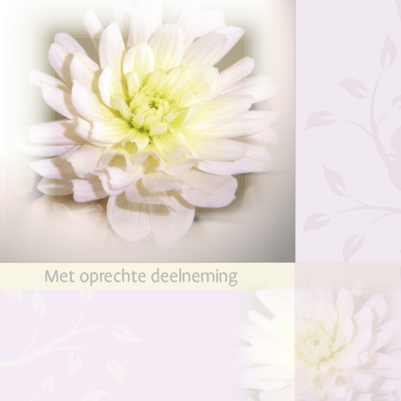 Met oprechte deelneming dahlia - Condoleancekaarten Condoleancekaarten - Met oprechte deelneming dahlia