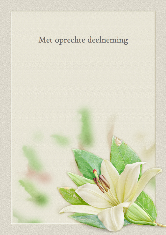 Mooie condoleancekaart met afbeelding van een Lelie - Condoleancekaarten Condoleancekaarten - Mooie condoleancekaart met afbeelding van een Lelie