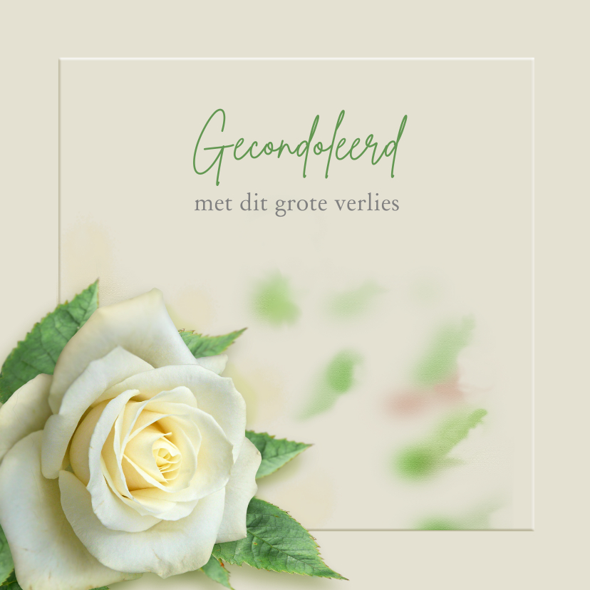 Condoleancekaarten - Mooie rouwkaart met een witte roos op gewassen ondergrond