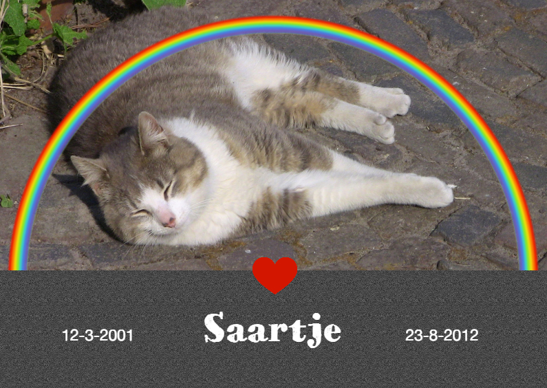 Rouwkaart met foto - regenboog hart - Condoleancekaarten Condoleancekaarten - Rouwkaart met foto - regenboog hart